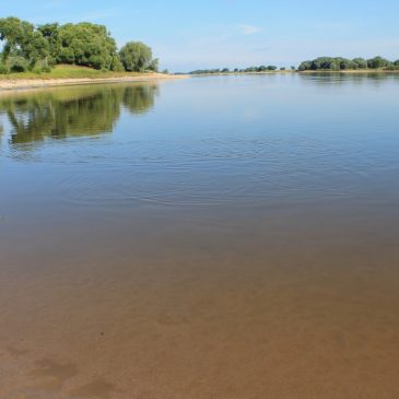 Der neue Internetauftritt ist online